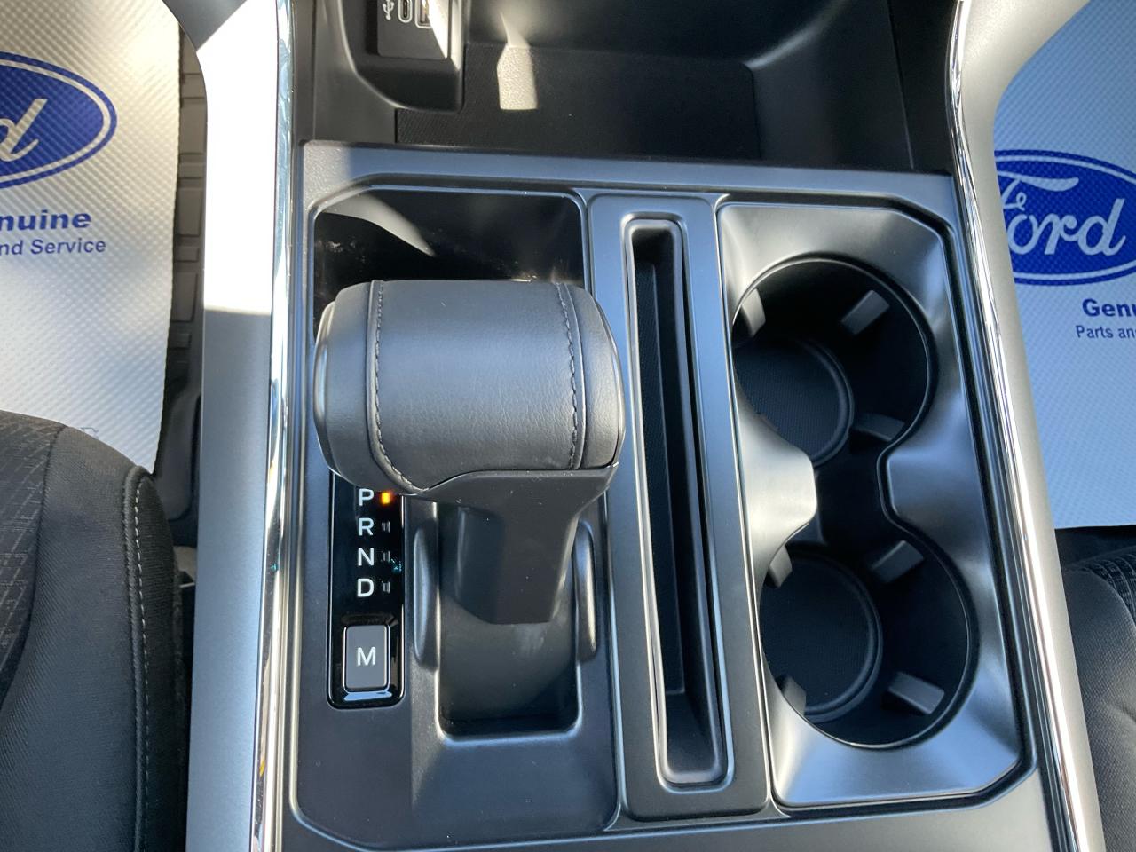 2025 Ford F-150 XLT Photo5