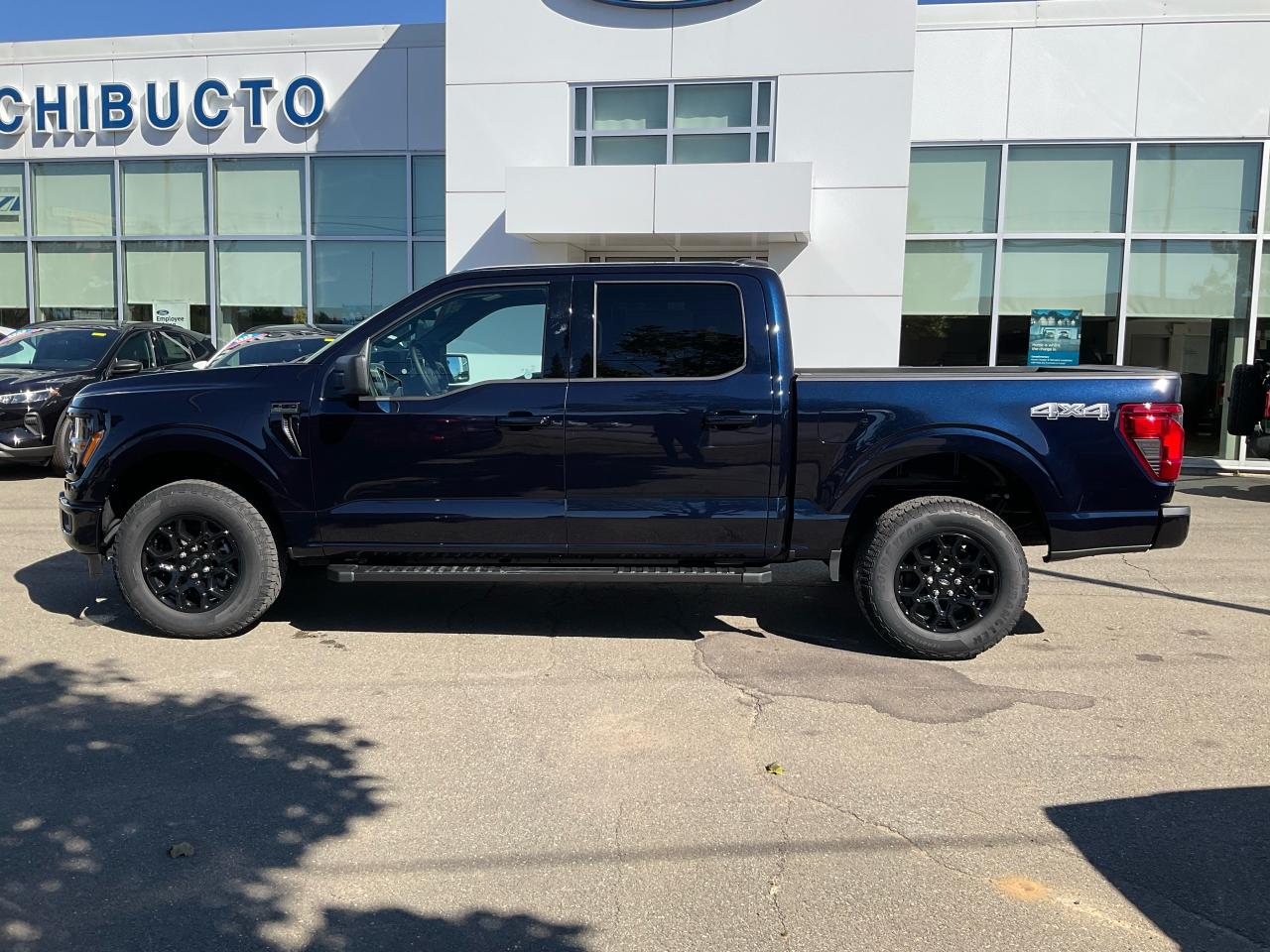 2025 Ford F-150 XLT Photo3