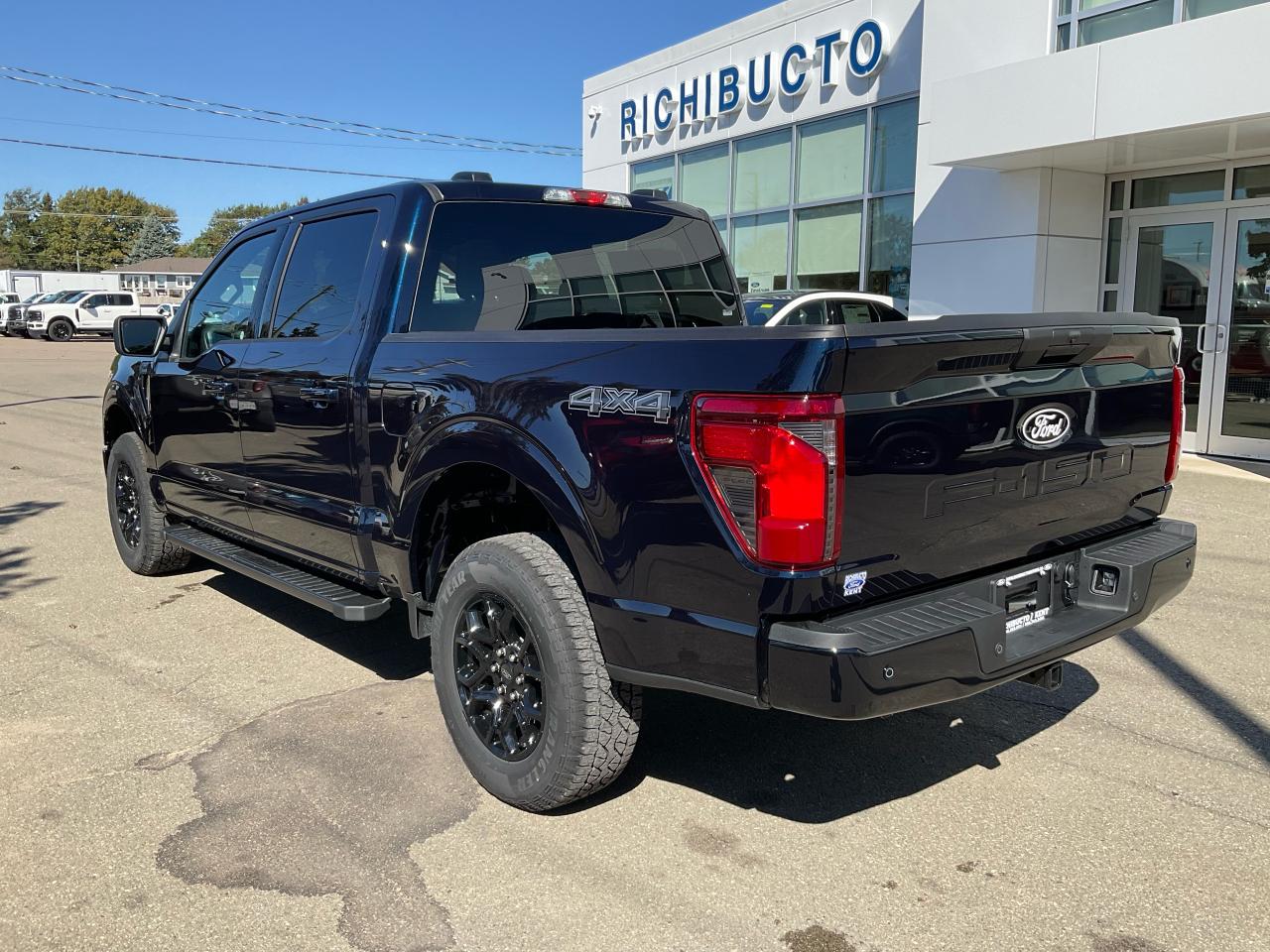 2025 Ford F-150 XLT Photo5