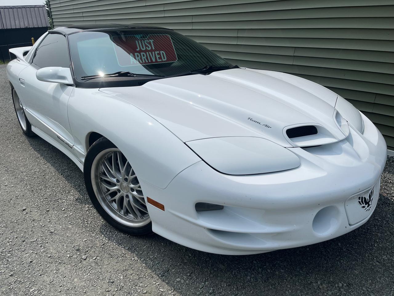 Used 2001 Pontiac Firebird Trans Am WS6 for sale in Hilden, NS