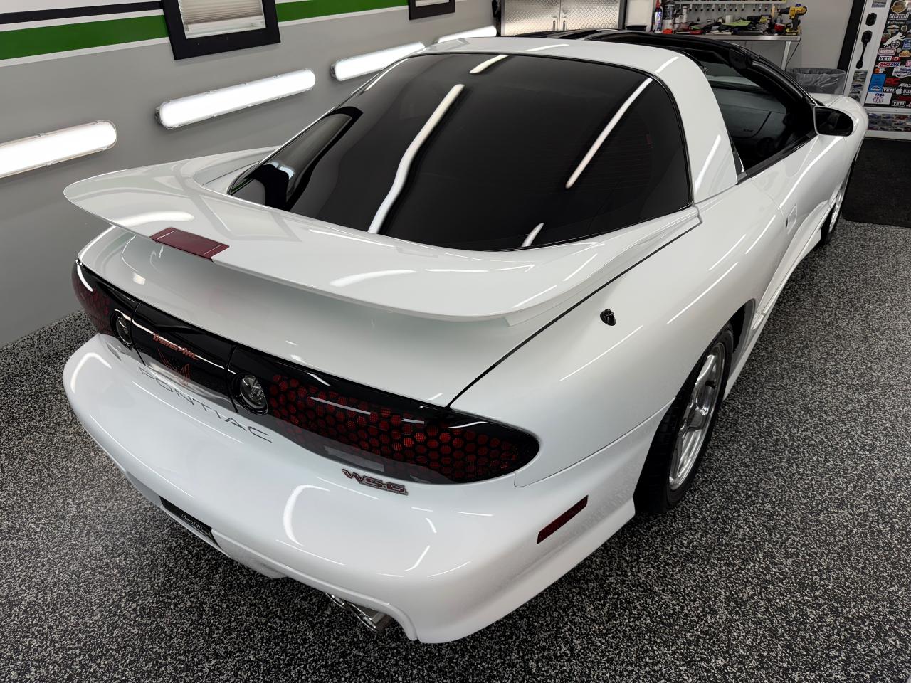 2001 Pontiac Firebird Trans Am WS6 - Photo #7