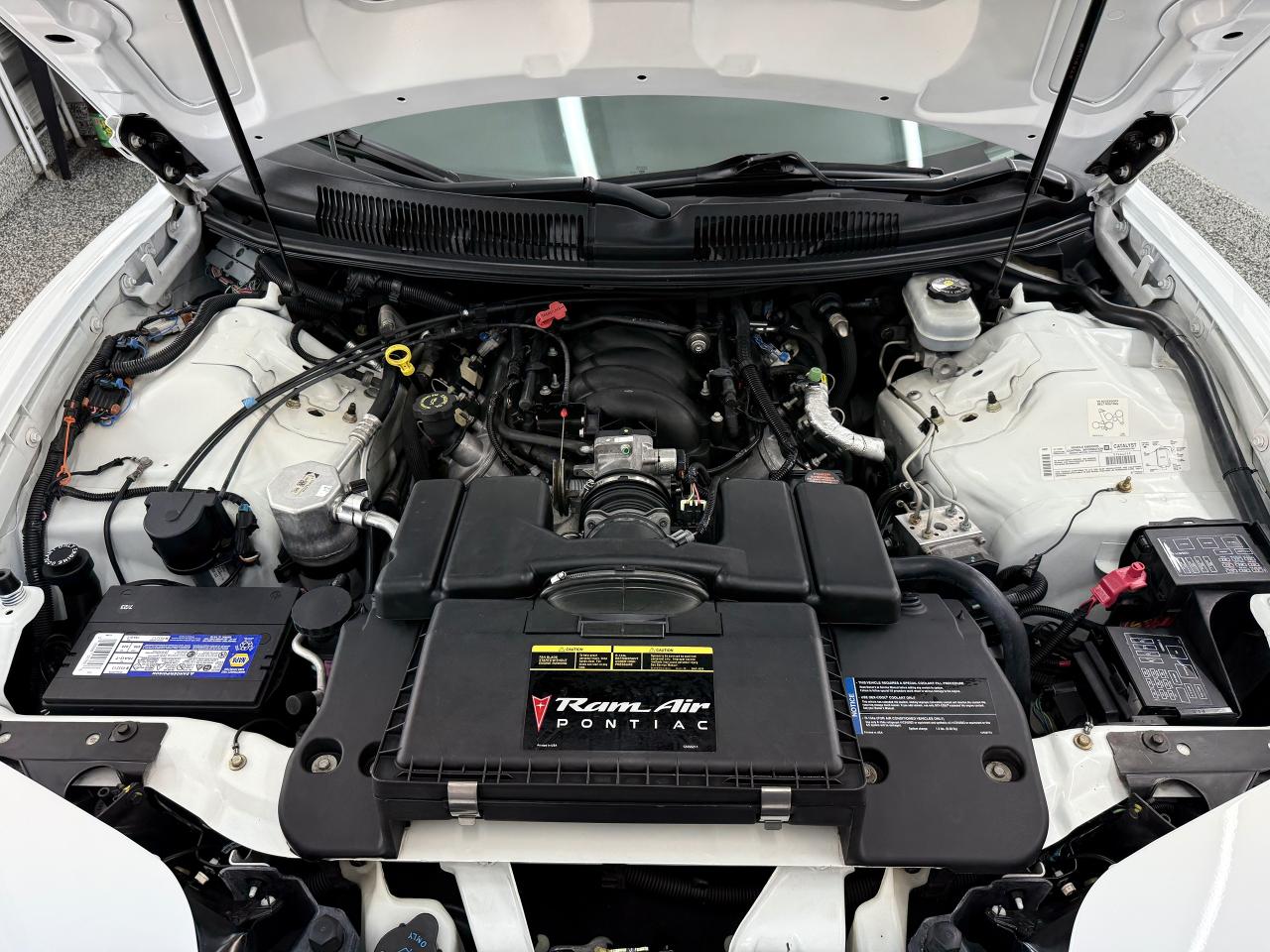 2001 Pontiac Firebird Trans Am WS6 - Photo #15