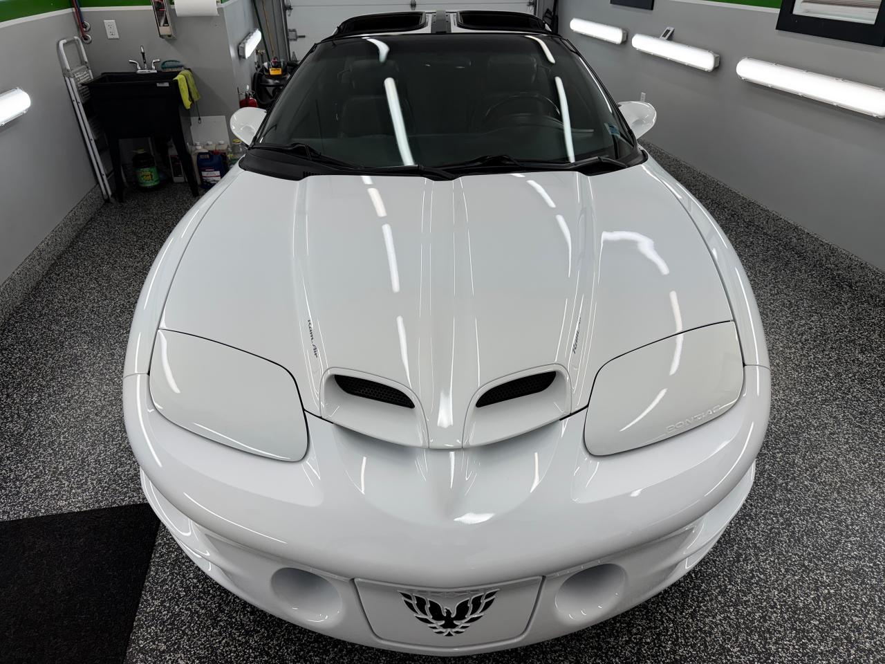 2001 Pontiac Firebird Trans Am WS6 - Photo #2