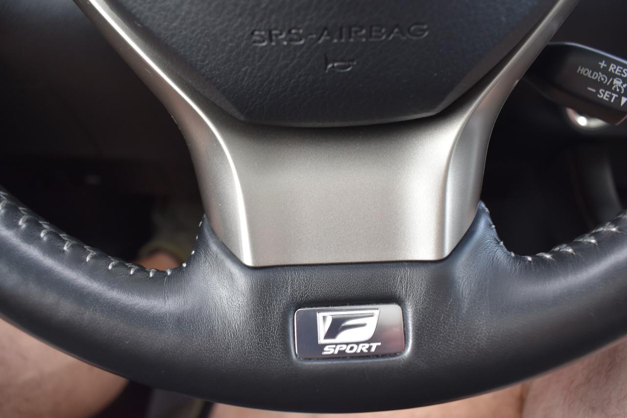 2020 Lexus RX RX 350 F SPORT - Photo #12