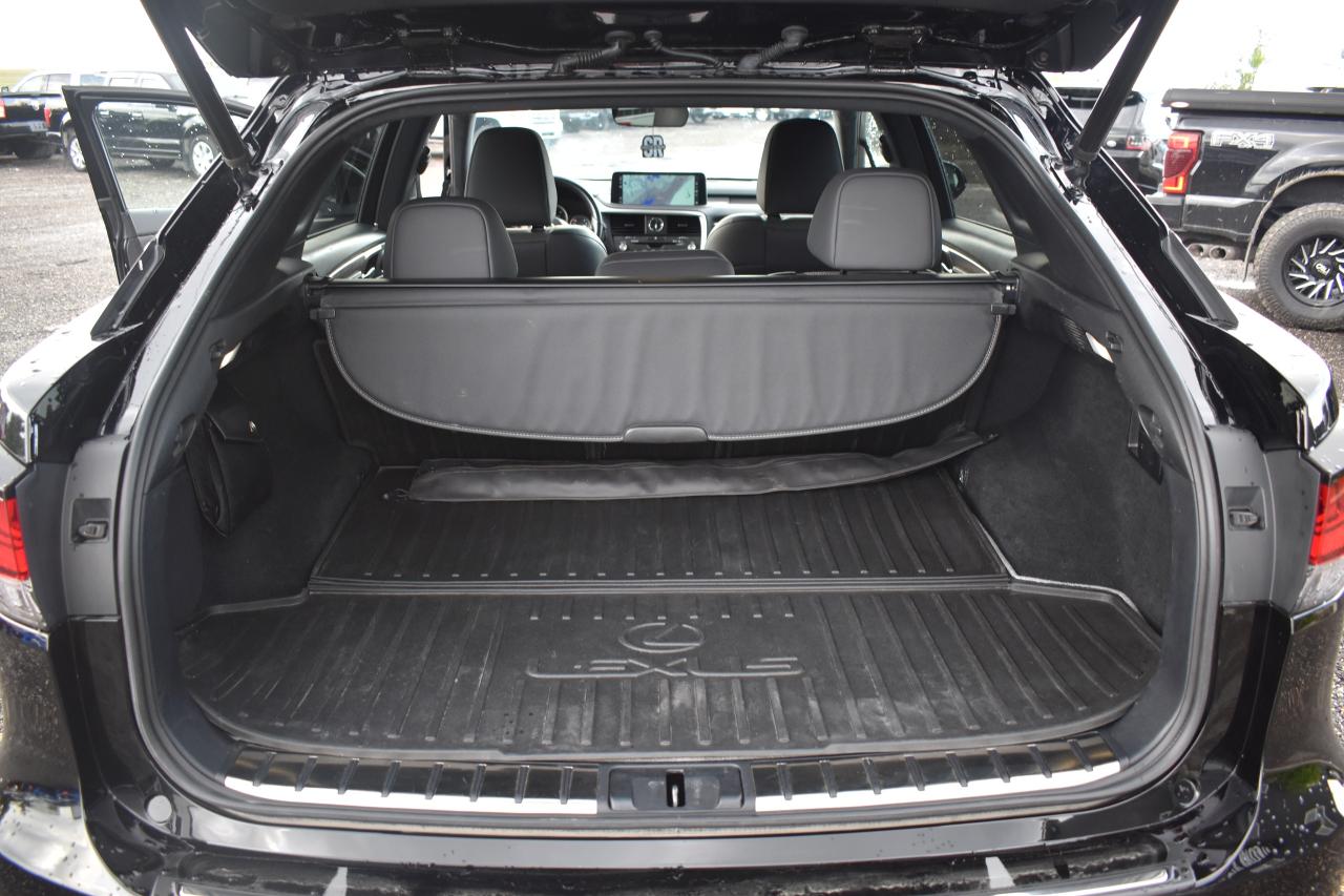 2020 Lexus RX RX 350 F SPORT - Photo #23