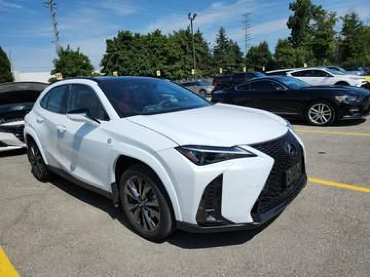 2024 Lexus UX UX 250H - Photo #8