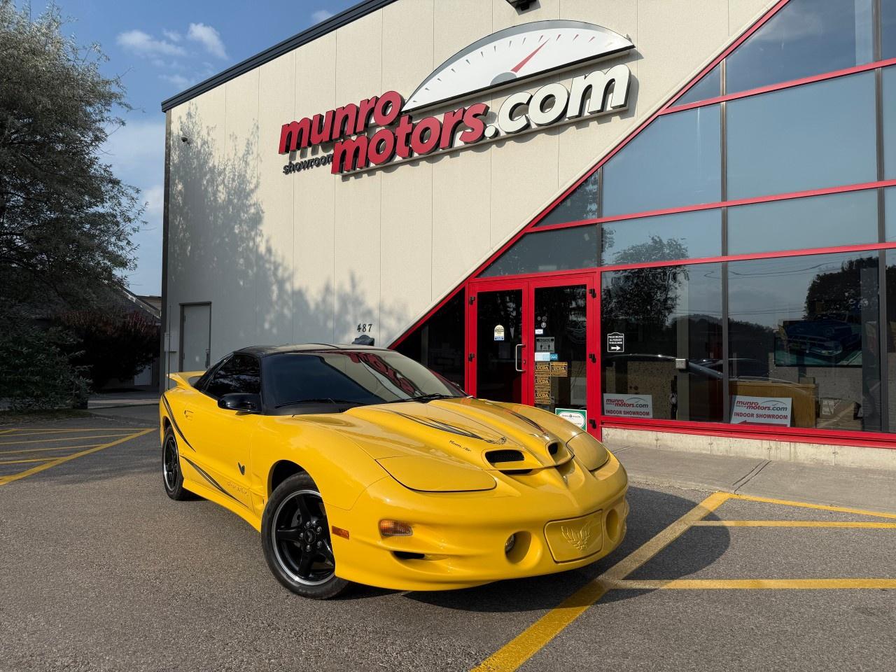Used 2002 Pontiac Firebird 2dr Cpe Trans Am for sale in Brantford, ON