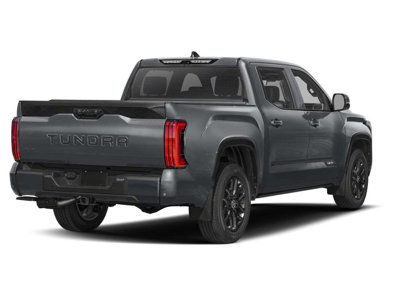 2025 Toyota Tundra Platinum Photo1