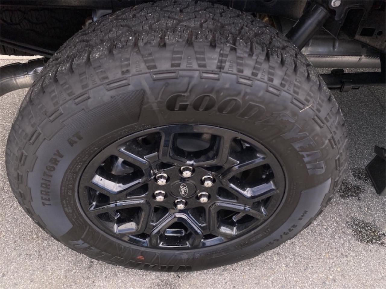 2025 Ford F-150 XLT  - Tow Package Photo5