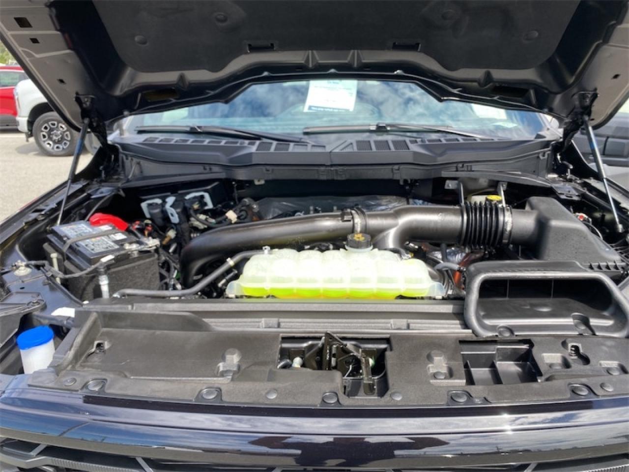 2025 Ford F-150 XLT  - Tow Package Photo5