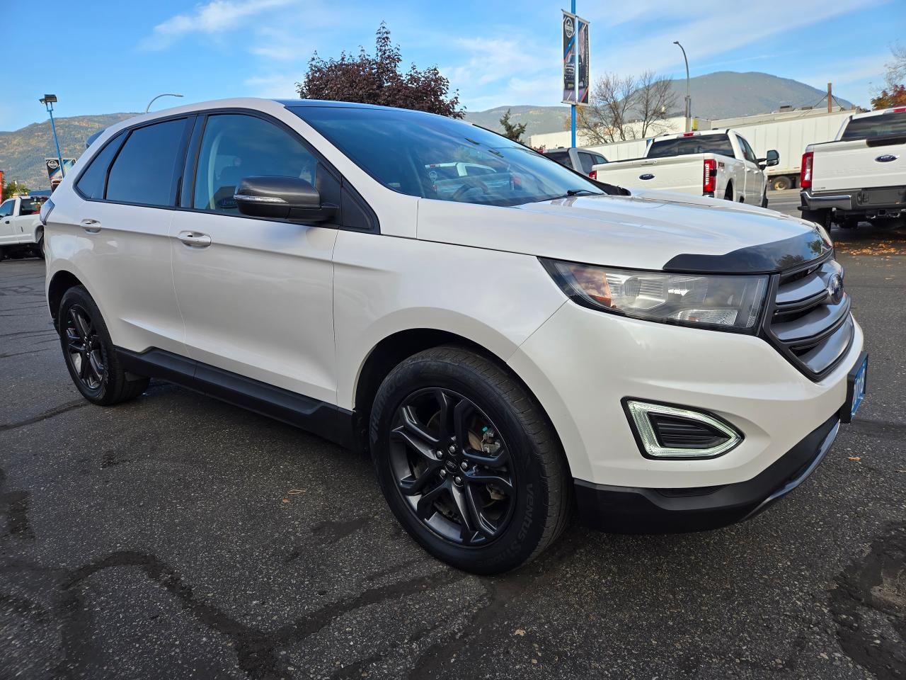 2018 Ford Edge SEL Photo