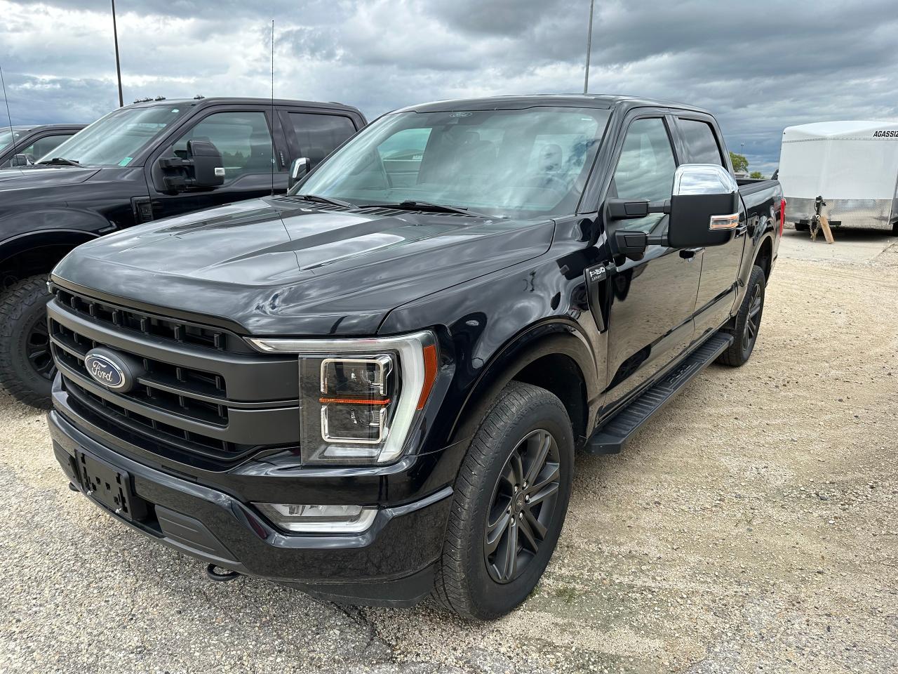 Used 2021 Ford F-150 Lariat for sale in Elie, MB