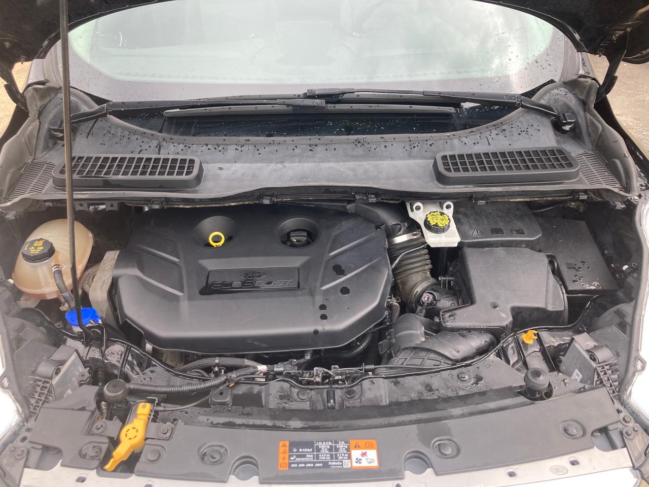 2017 Ford Escape SE - Photo #6