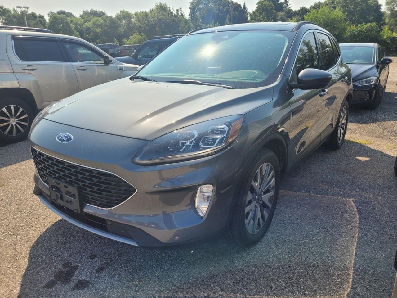 Used 2022 Ford Escape Hybrid Titanium for sale in London, ON