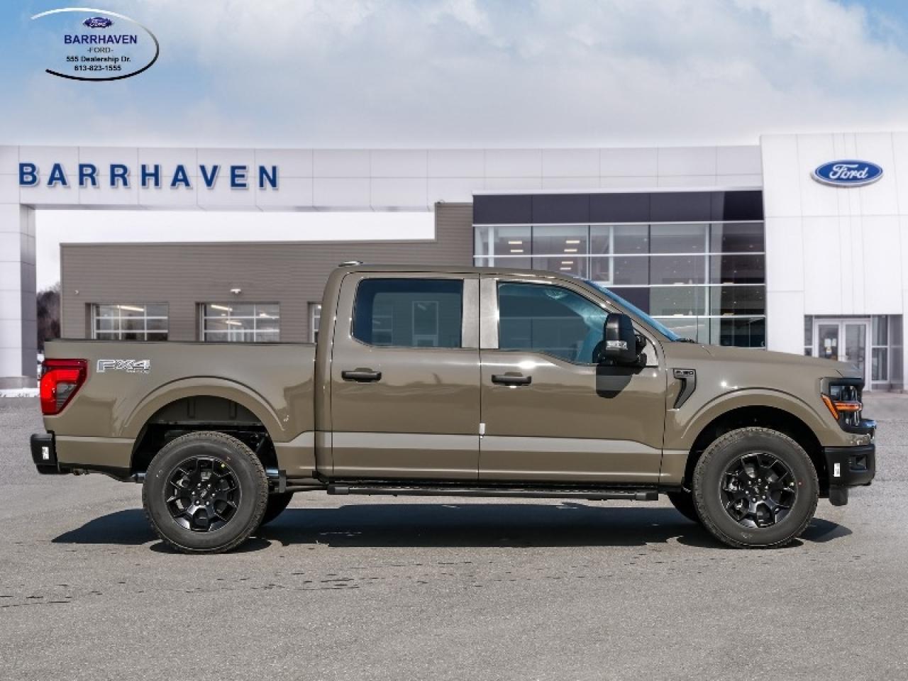 2025 Ford F-150 STX Photo