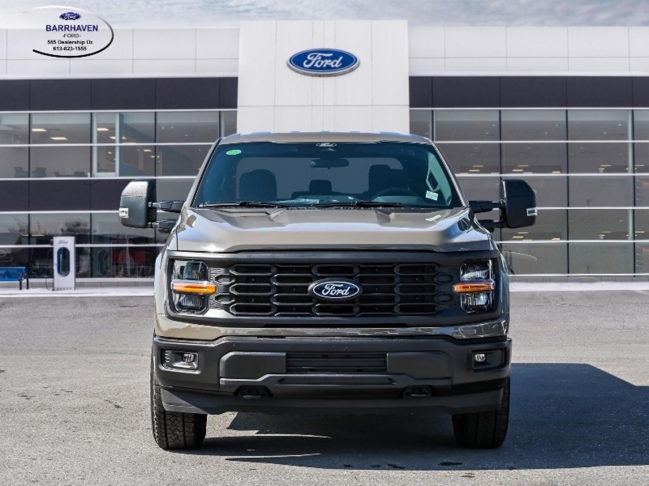 2025 Ford F-150 STX Photo