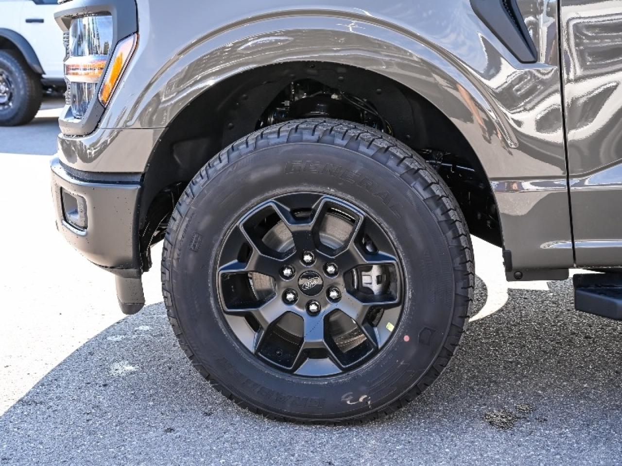 2025 Ford F-150 STX Photo