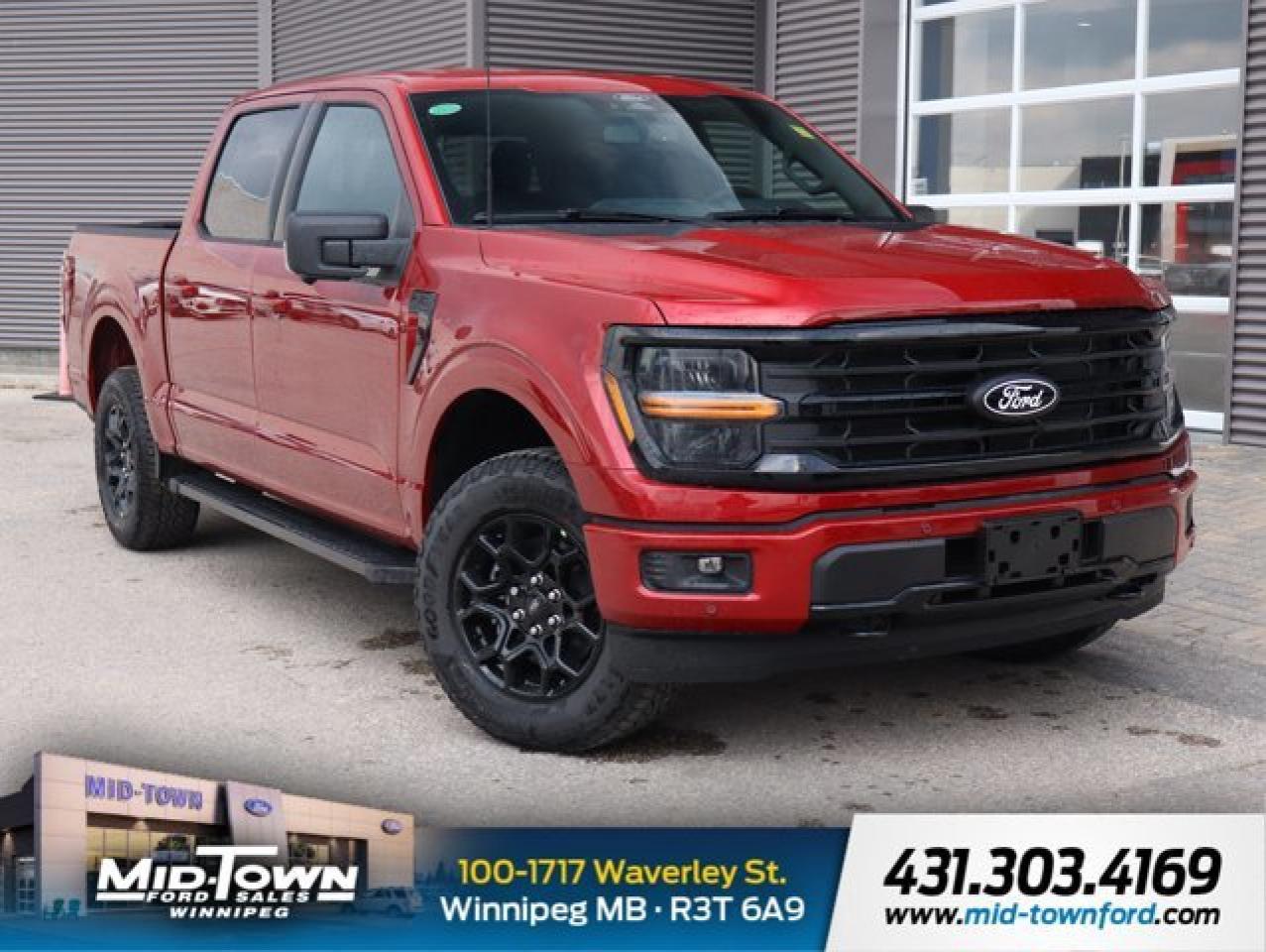 New 2025 Ford F-150 XLT | Tailgate Step | 360 Camera for sale in Winnipeg, MB