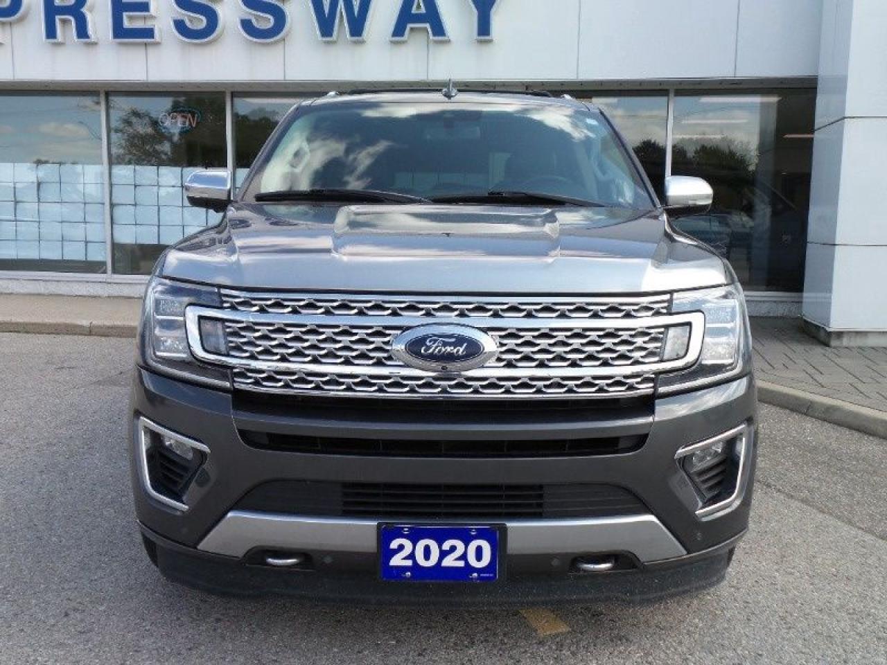 2020 Ford Expedition Platinum Photo1