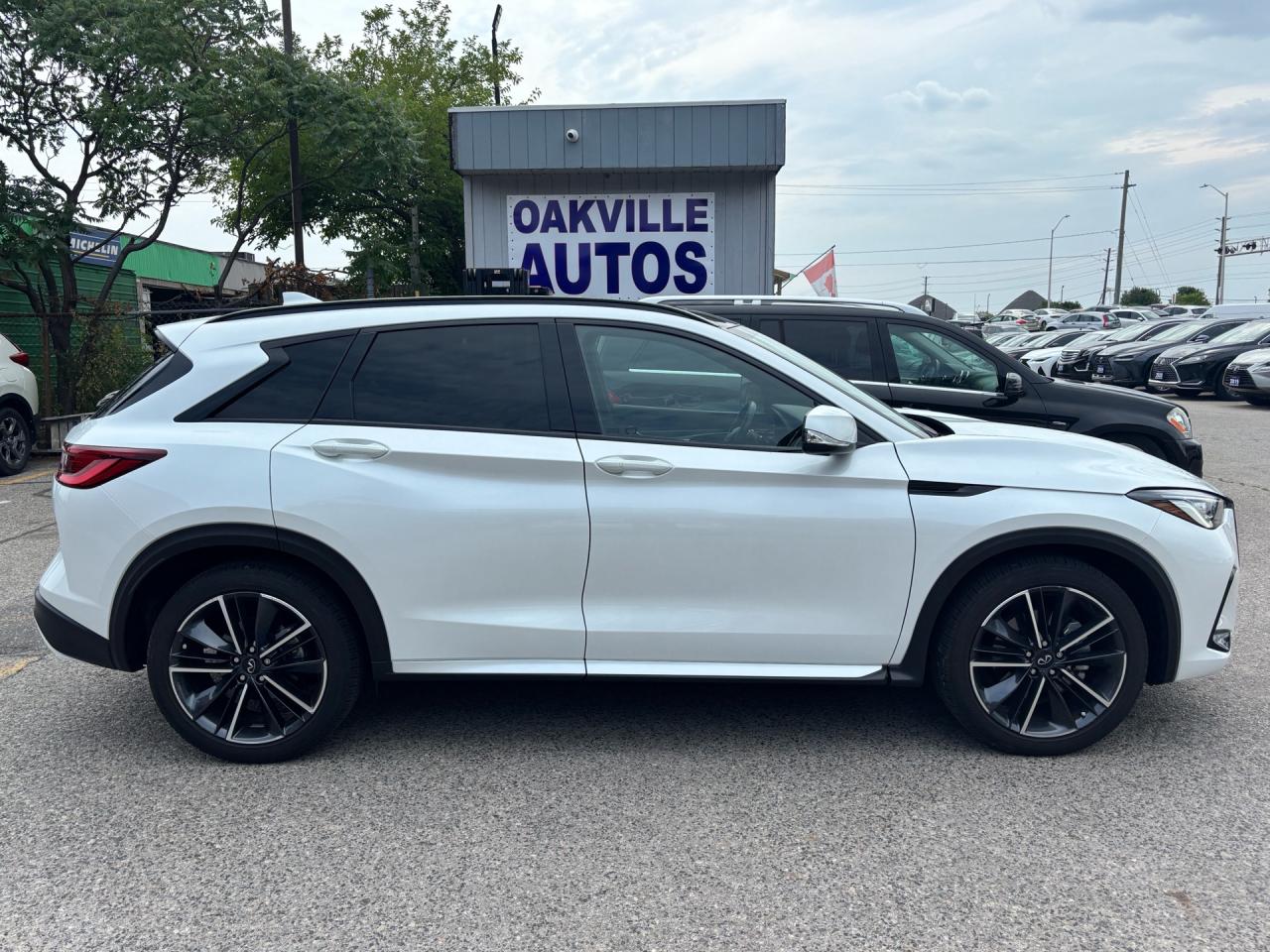 2023 Infiniti QX50 SPORT AWD Photo
