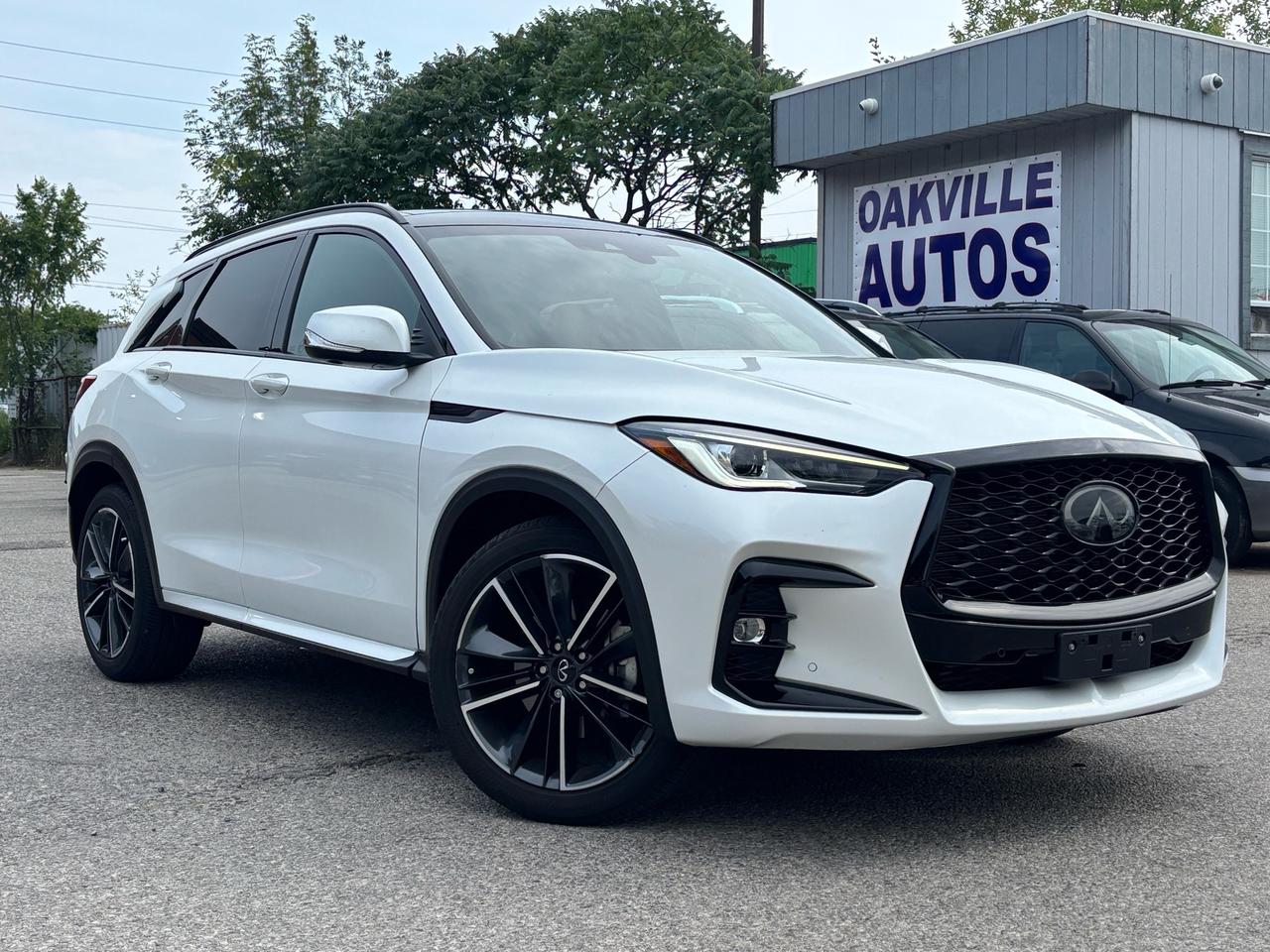 2023 Infiniti QX50 SPORT AWD Photo