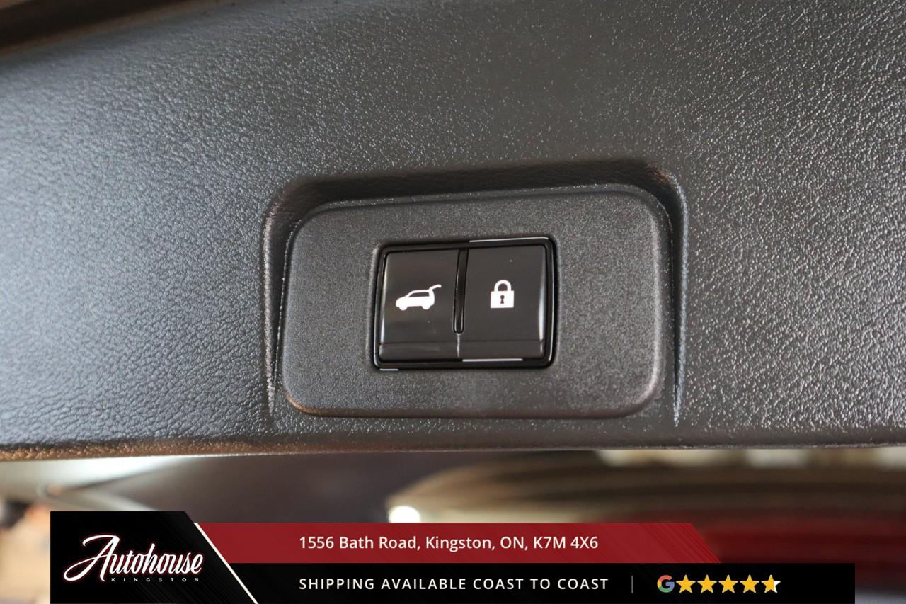 2024 Nissan Rogue SV Moonroof PANORAMIC MOONROOF - ProPILOT ASSIST Photo