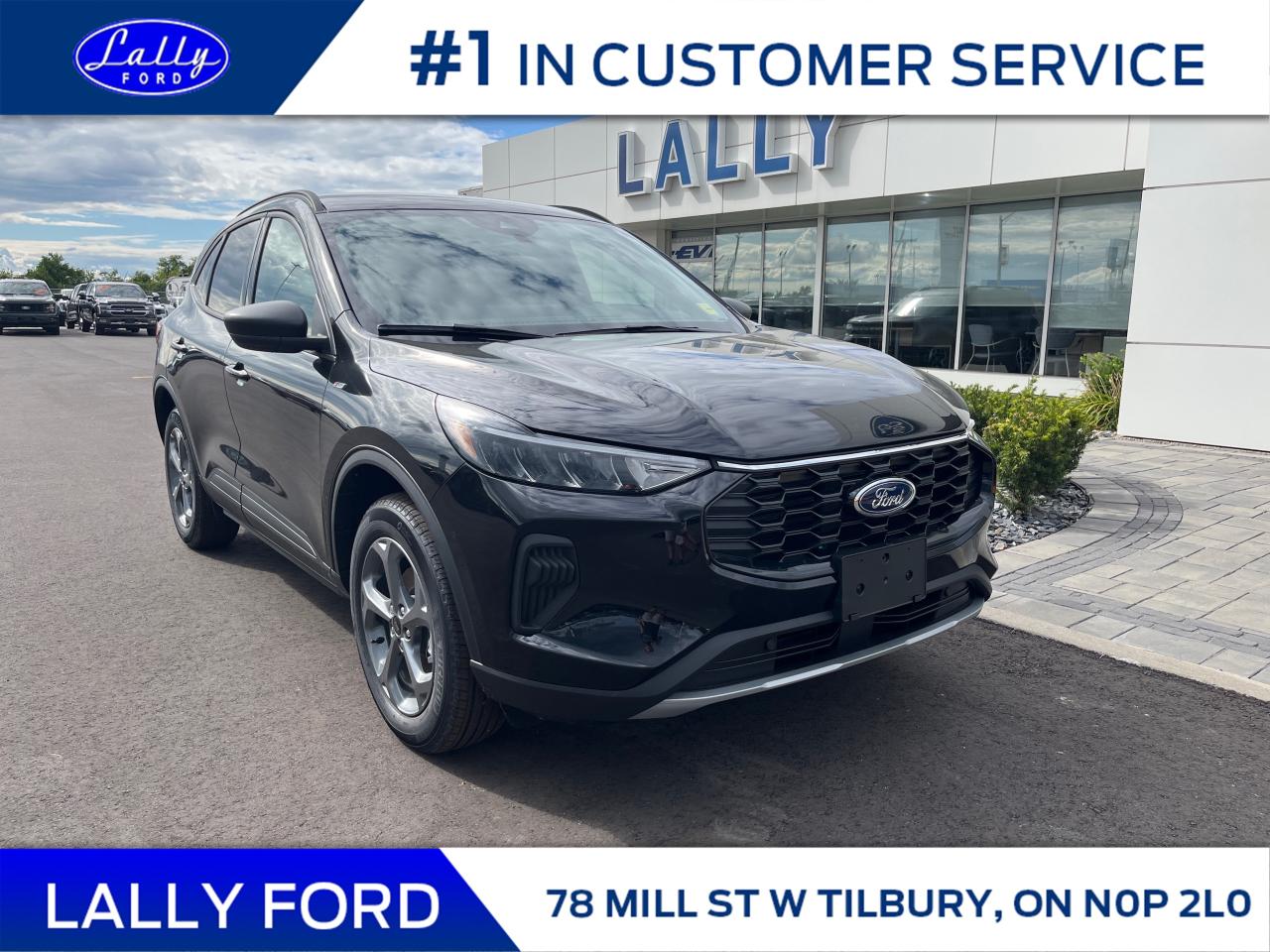 New 2025 Ford Escape ST-Line for sale in Tilbury, ON