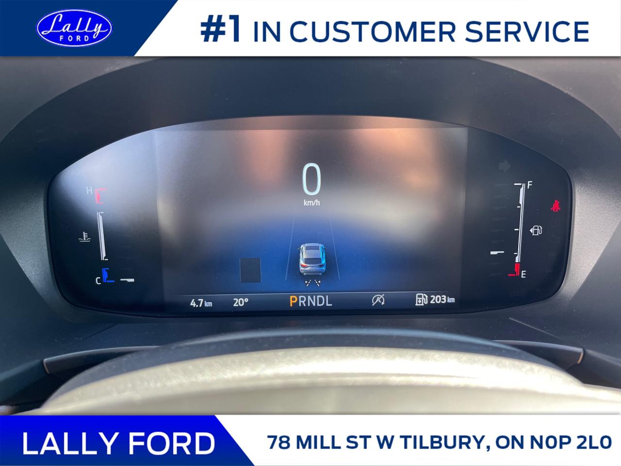 2025 Ford Escape ST-Line Photo