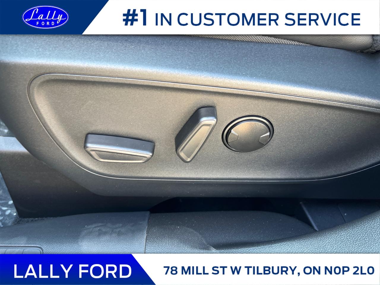 2025 Ford Escape ST-Line Photo