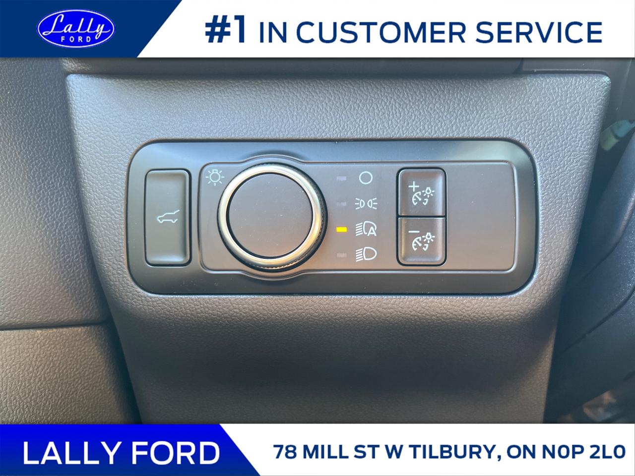 2025 Ford Escape ST-Line Photo