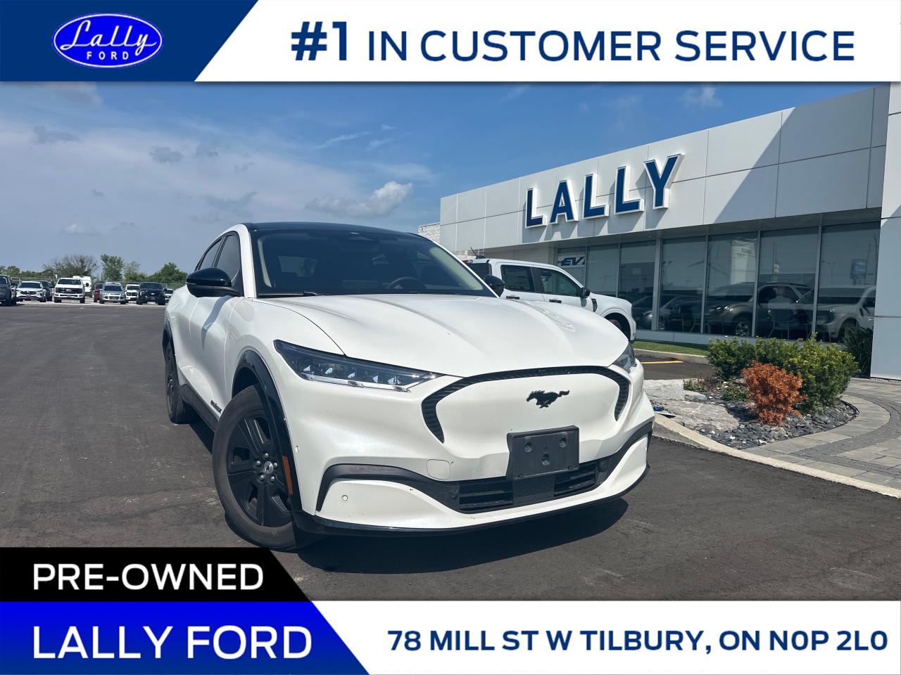 Used 2023 Ford Mustang Mach-E California Route 1 Fixed Moonroof, Low Kms, Mint!! for sale in Tilbury, ON