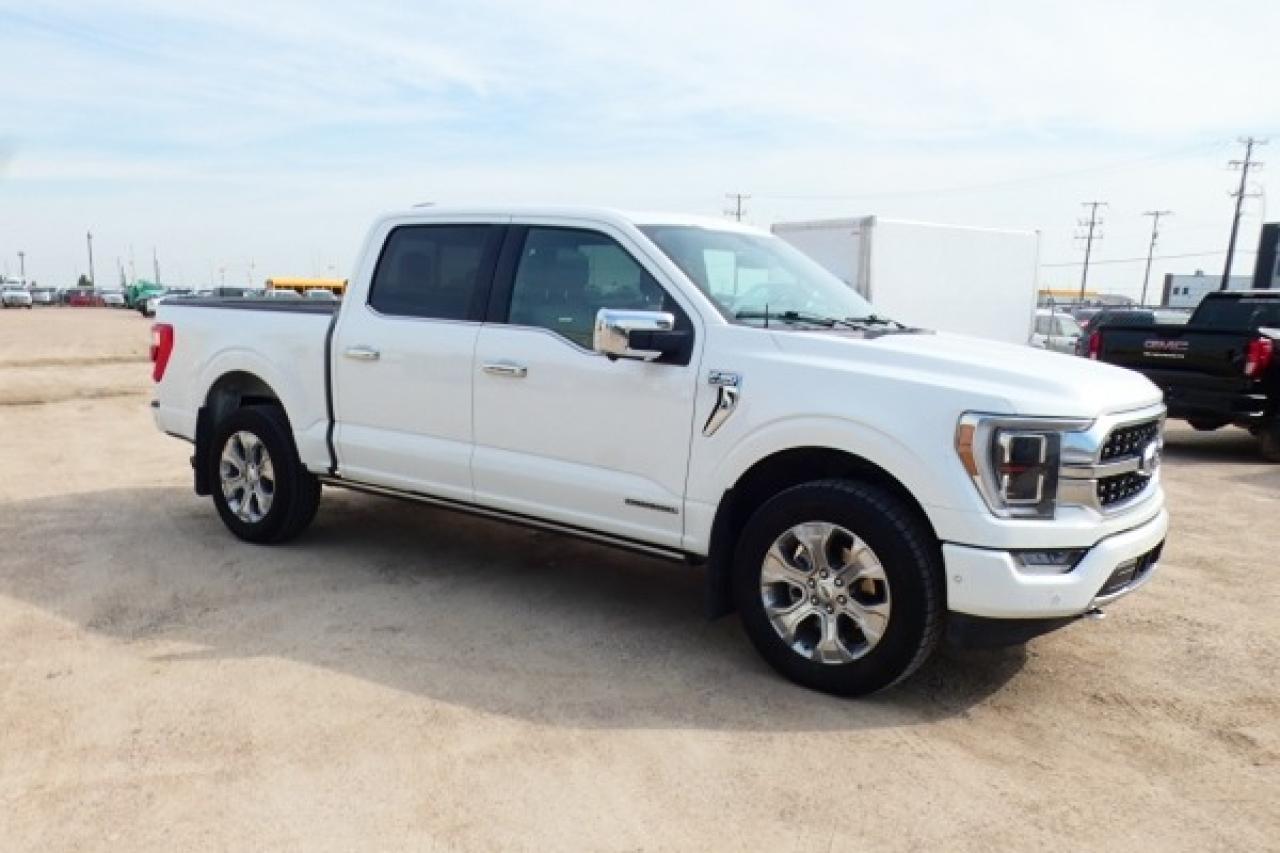 2022 Ford F-150 Platinum Hybrid w/H&C L, Pano S/R, NAV, BUC, PRB - Photo #4
