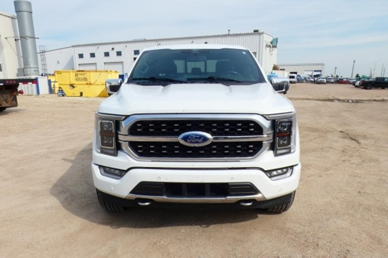 2022 Ford F-150 Platinum Hybrid w/H&C L, Pano S/R, NAV, BUC, PRB - Photo #3