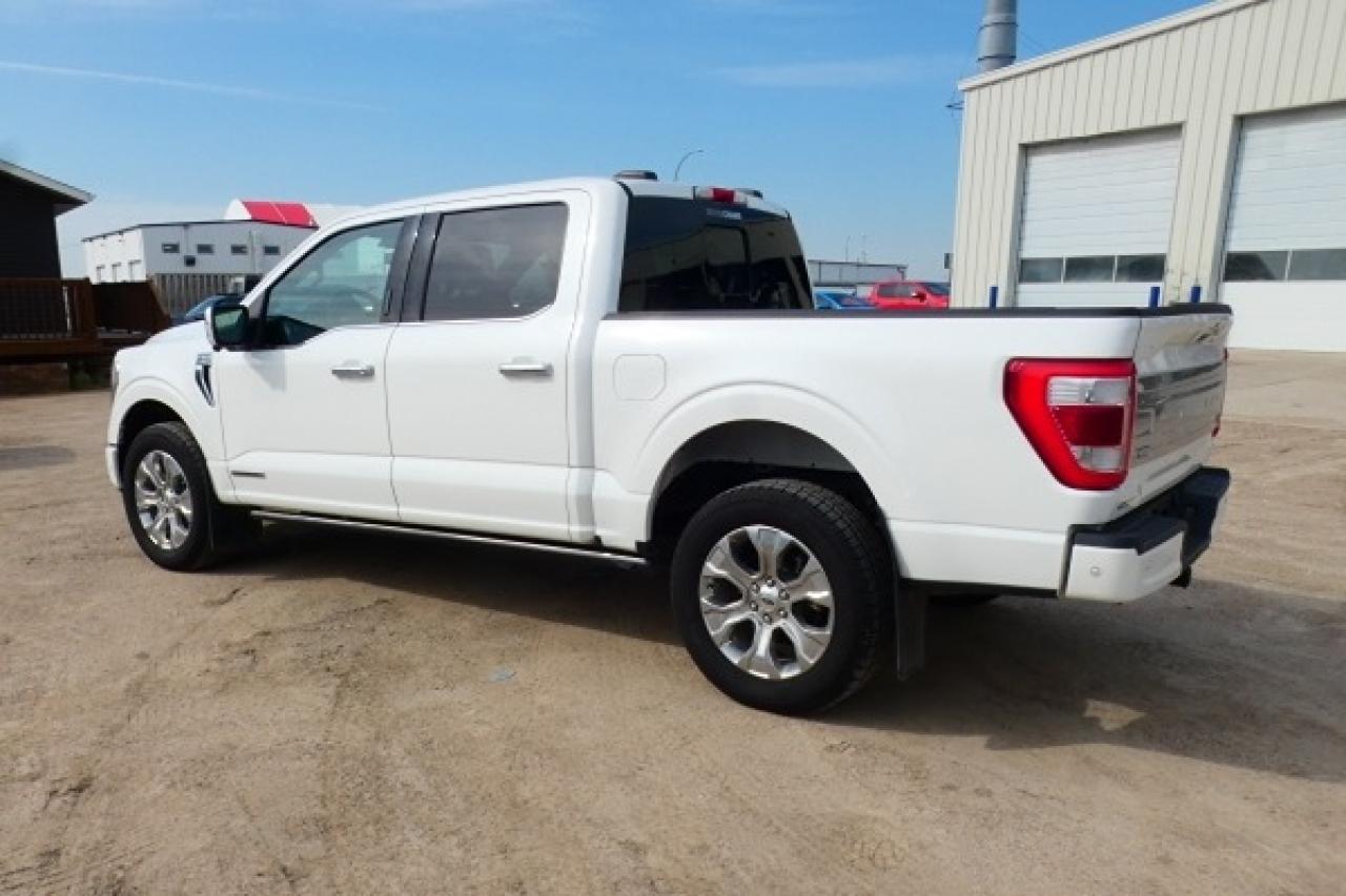 2022 Ford F-150 Platinum Hybrid w/H&C L, Pano S/R, NAV, BUC, PRB - Photo #8