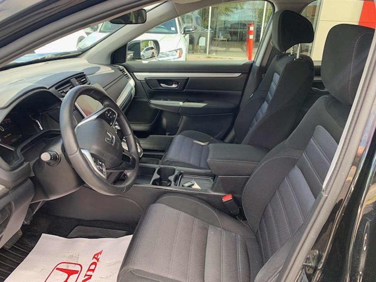 2022 Honda CR-V LX AWD Photo4