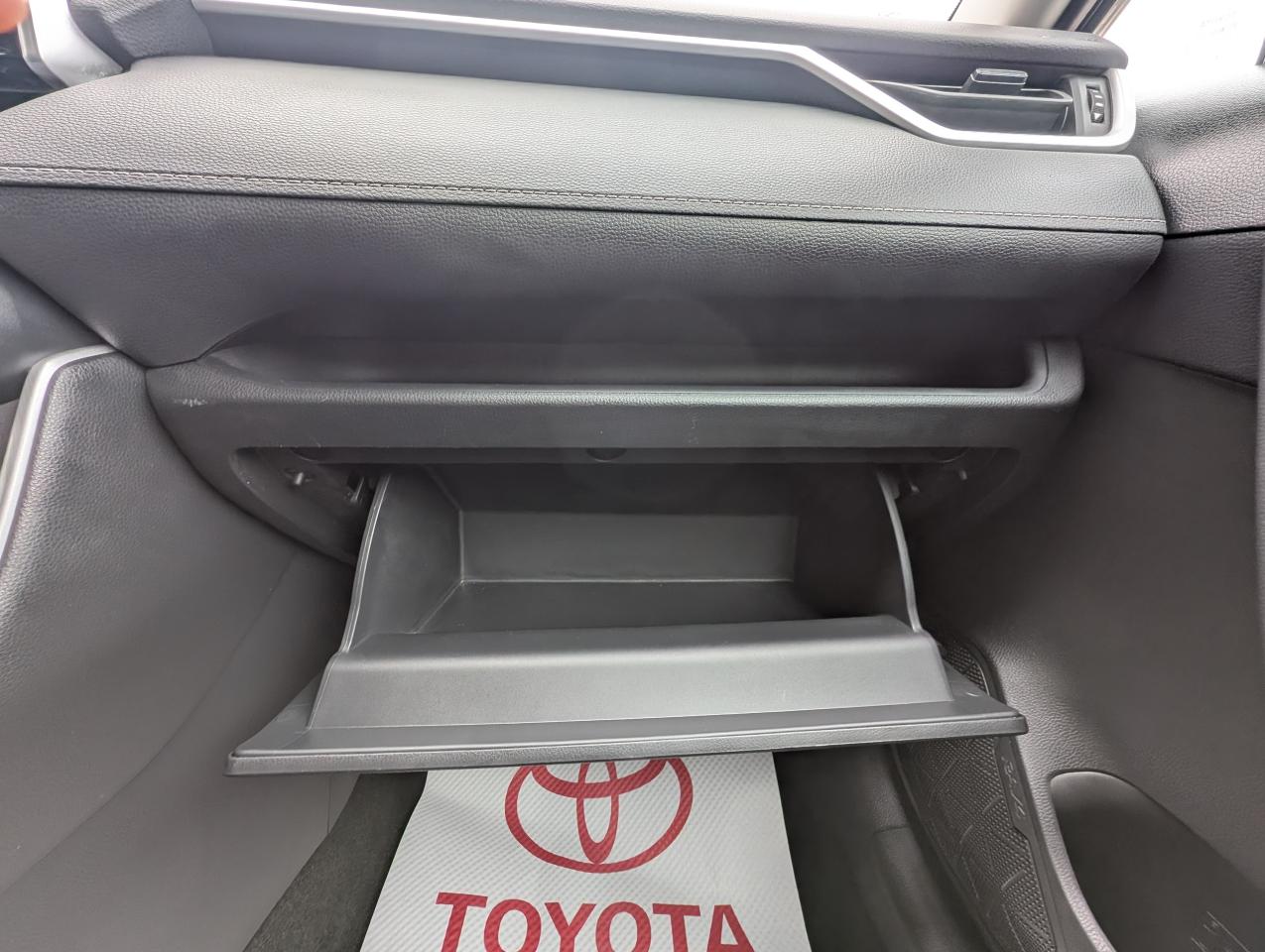2023 Toyota RAV4 LE Photo
