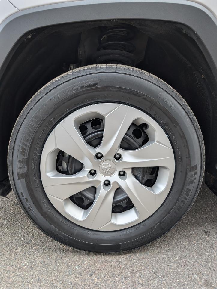 2023 Toyota RAV4 LE Photo