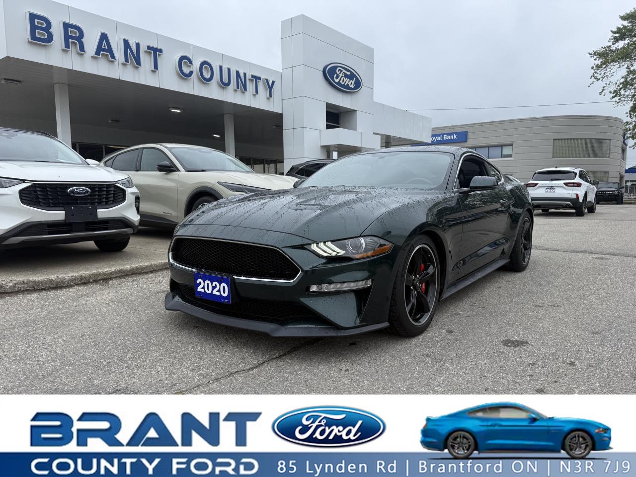 Used 2020 Ford Mustang RARE | BULLITT | 6 SPD MANUAL | 5.0L V8 for sale in Brantford, ON