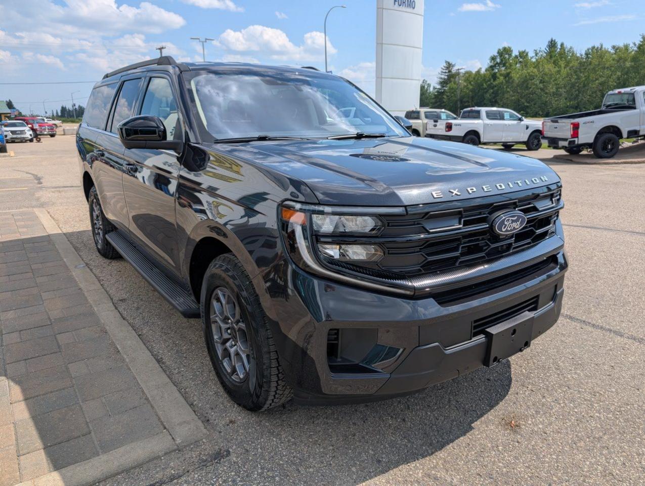 2025 Ford Expedition Active Max Photo
