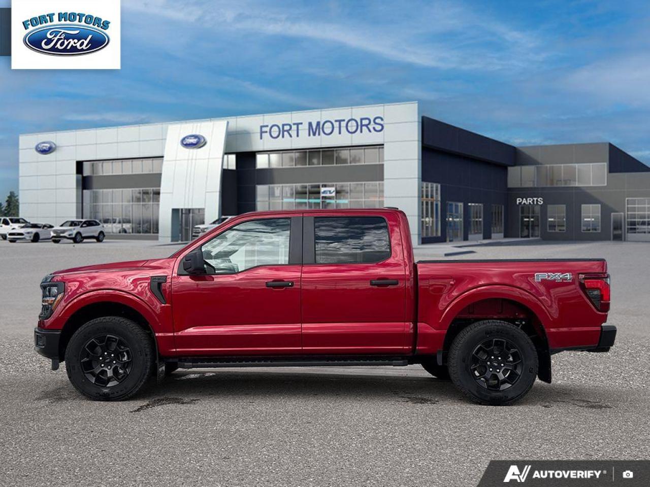 2025 Ford F-150 STX® Photo2