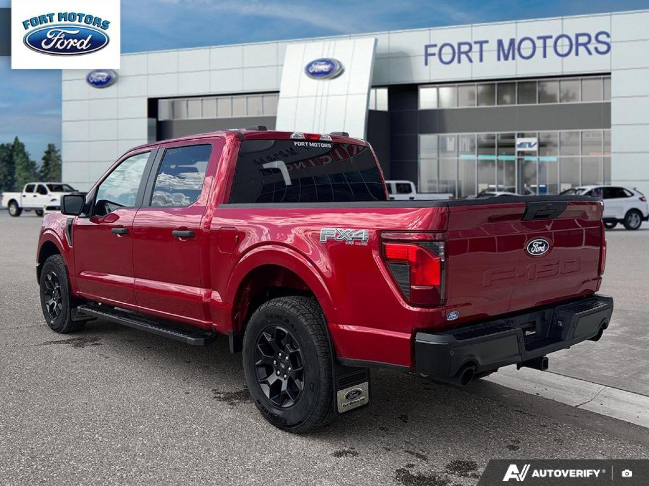 2025 Ford F-150 STX® Photo3