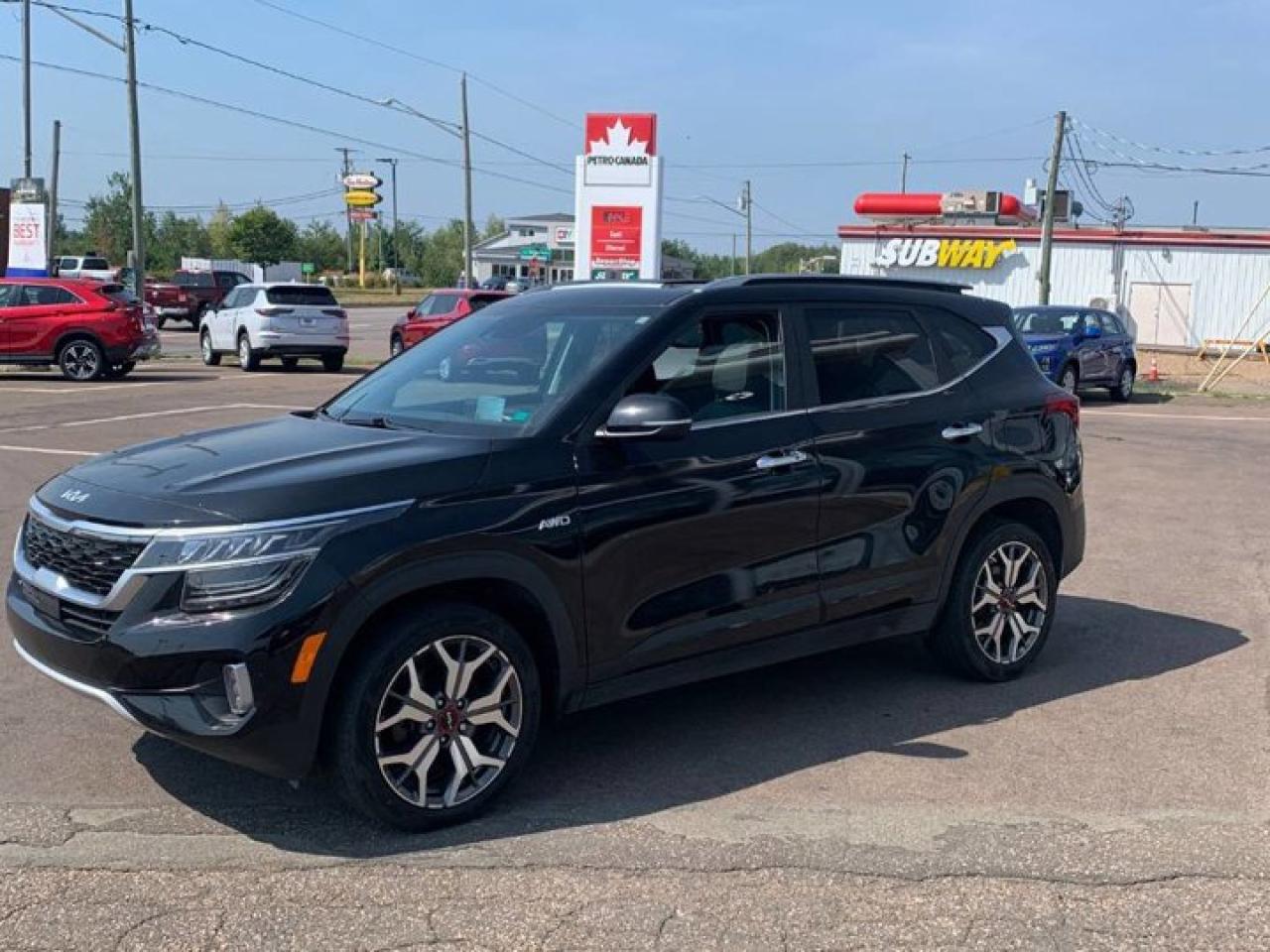 Used 2022 Kia Seltos SX Turbo AWD | Leather | Sunroof | Heated Seats + Wheel | Carplay + Android | Vented Seats & More ! for sale in Guelph, ON