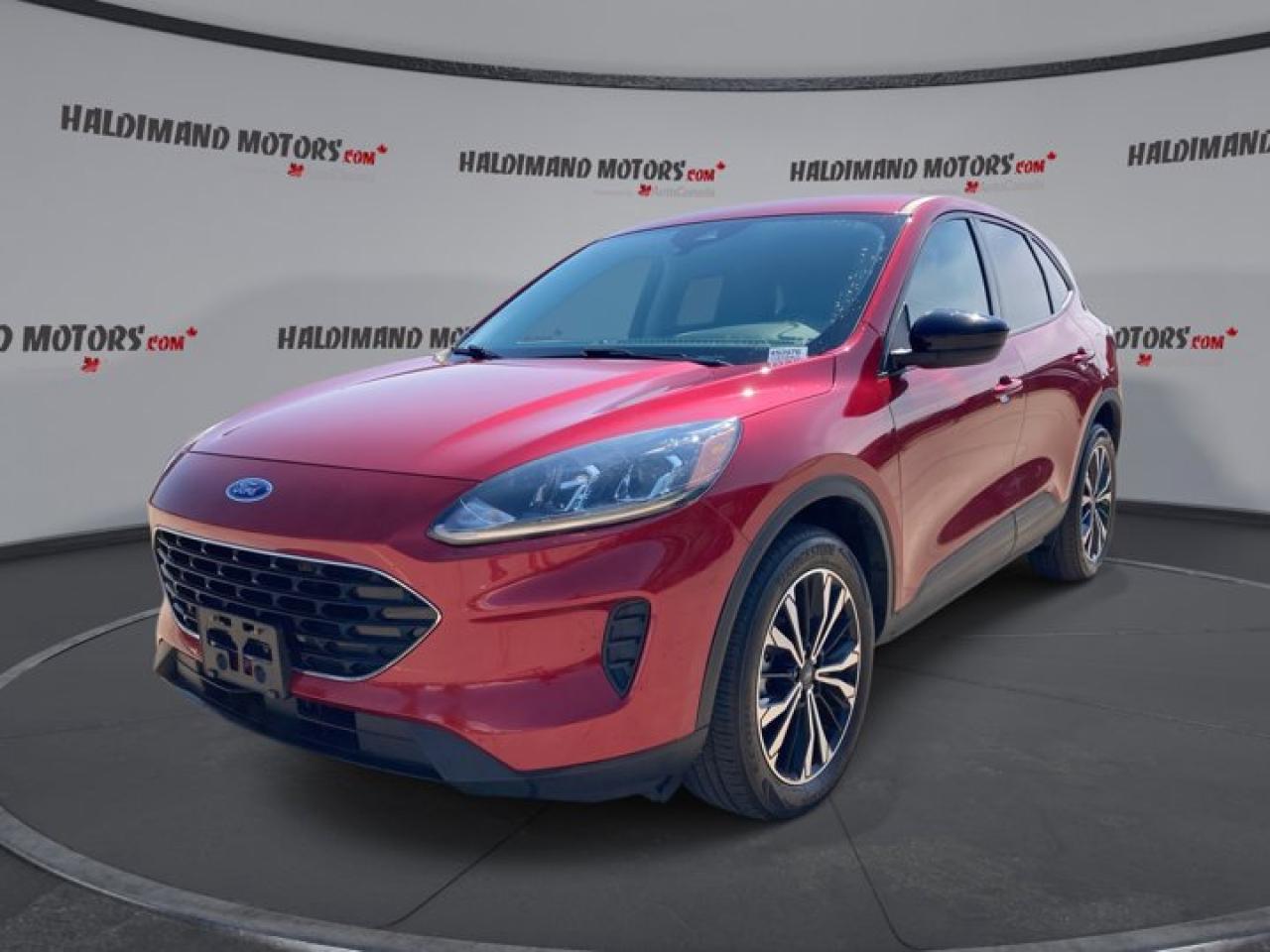Used 2022 Ford Escape SE Hybrid for sale in Cayuga, ON