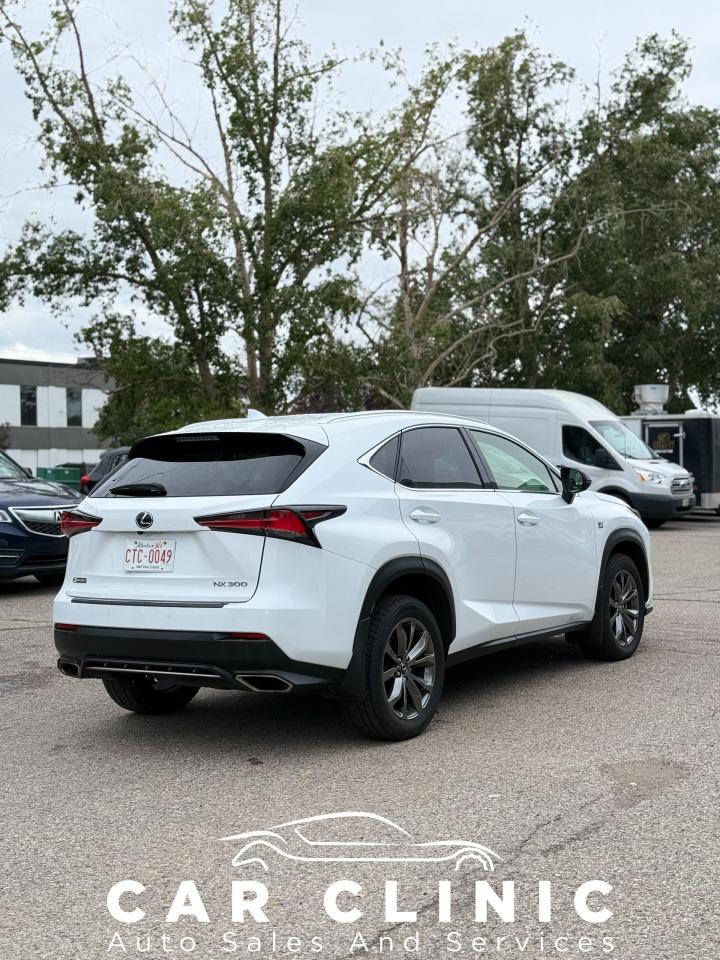 2021 Lexus NX NX 300 AWD - Photo #6
