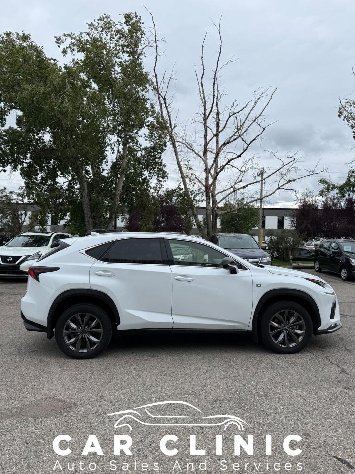 2021 Lexus NX NX 300 AWD - Photo #7