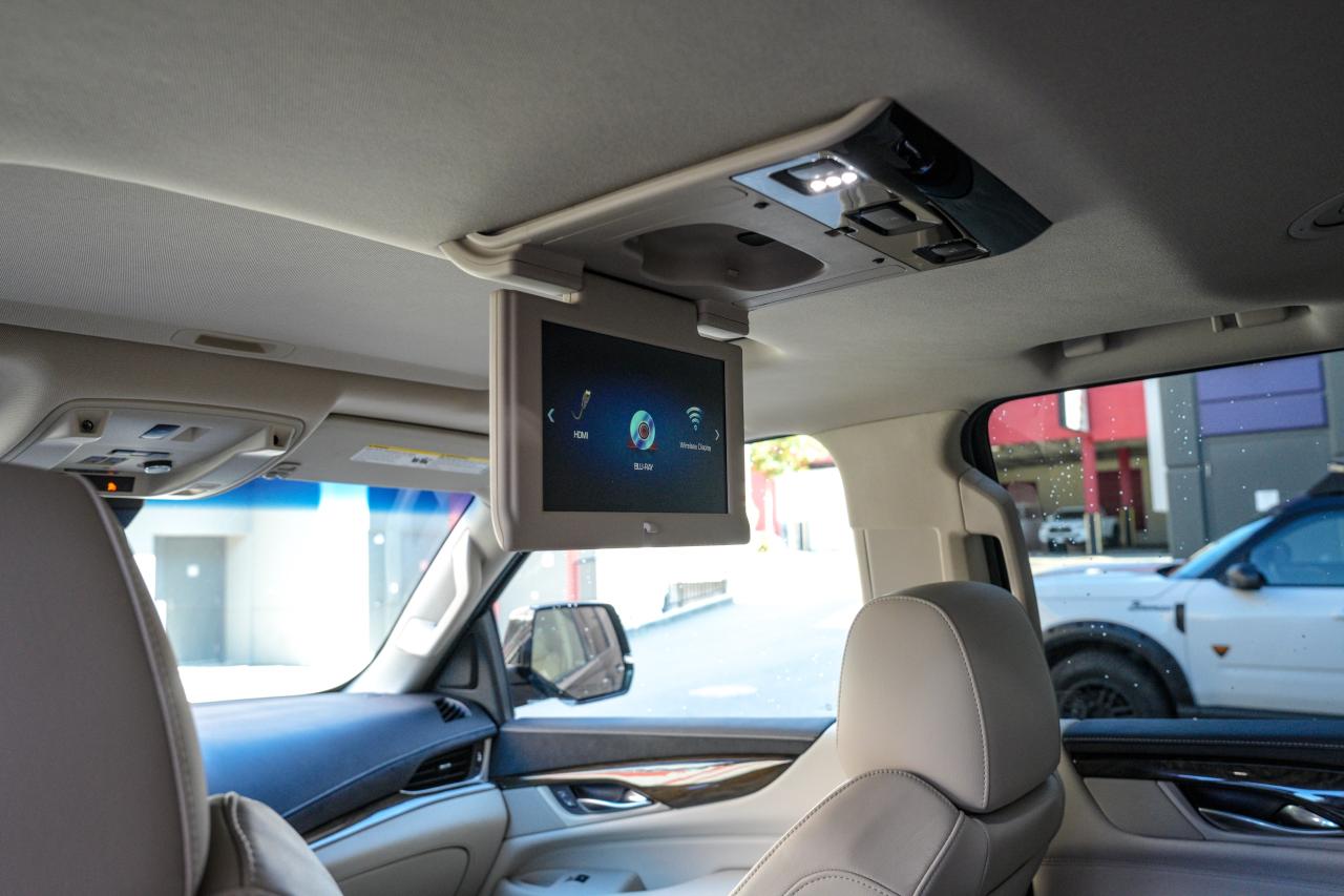 2018 Cadillac Escalade 4WD 4dr - Photo #10
