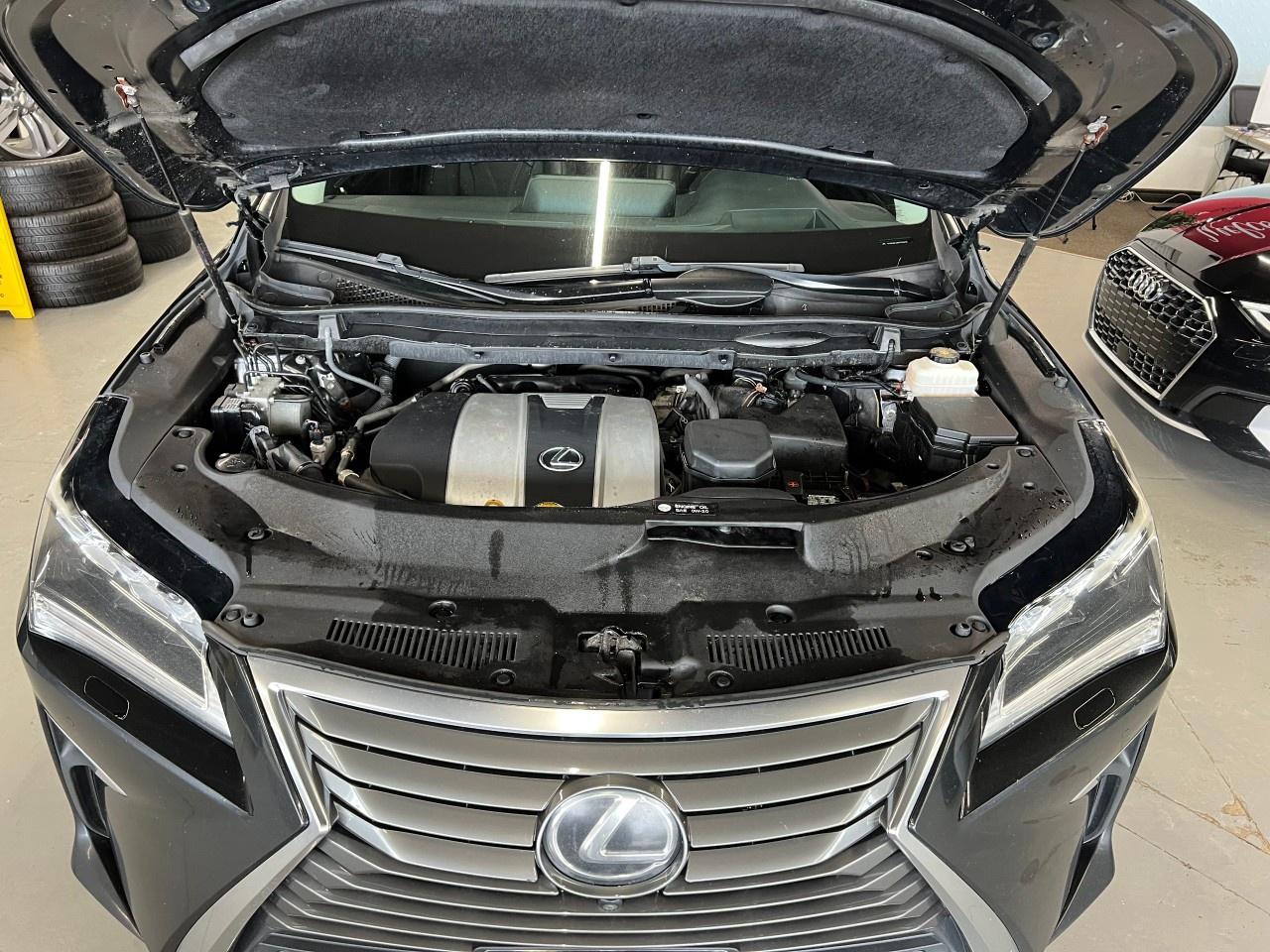 2019 Lexus RX 350 AWD Photo