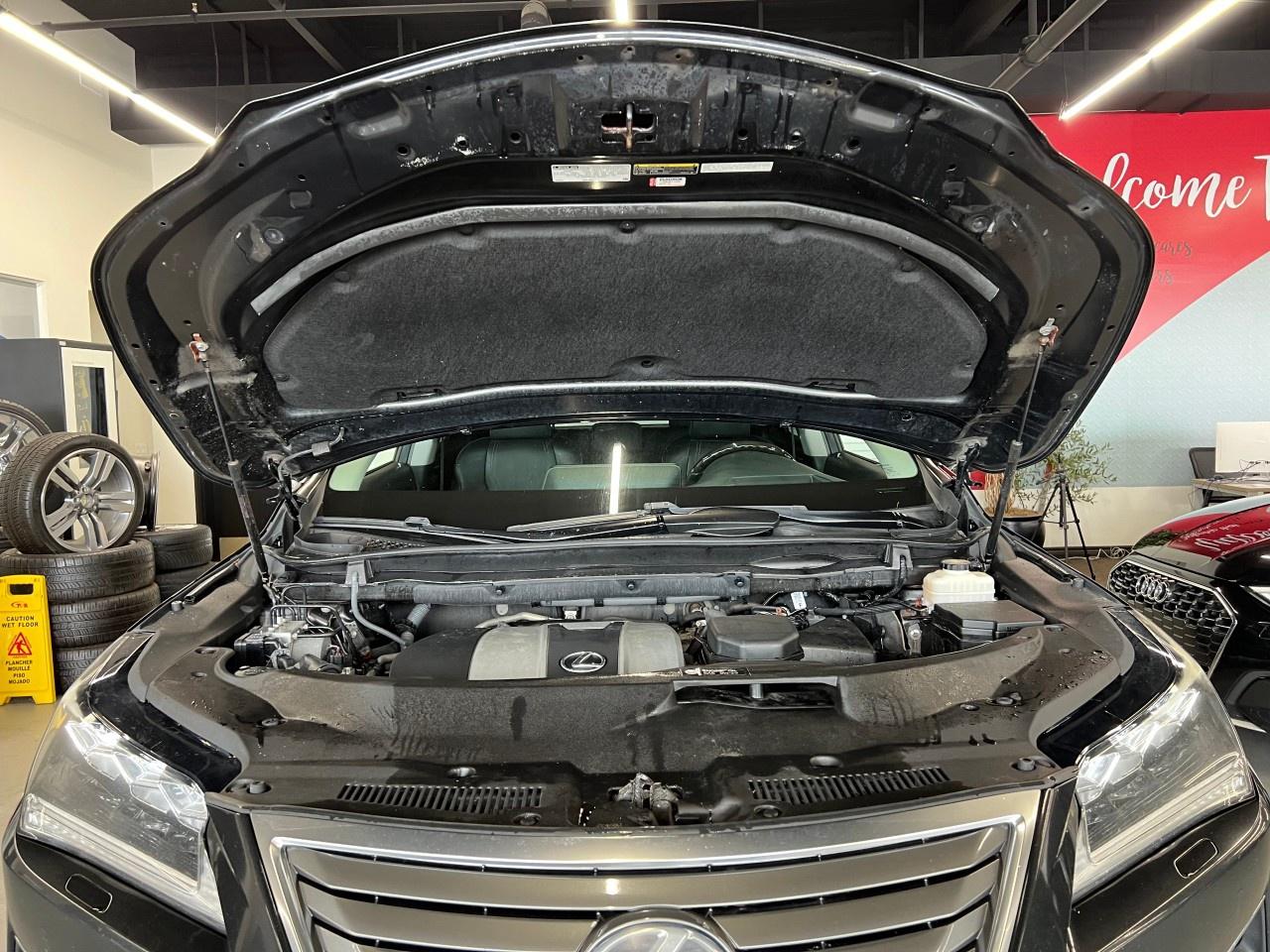 2019 Lexus RX 350 AWD Photo