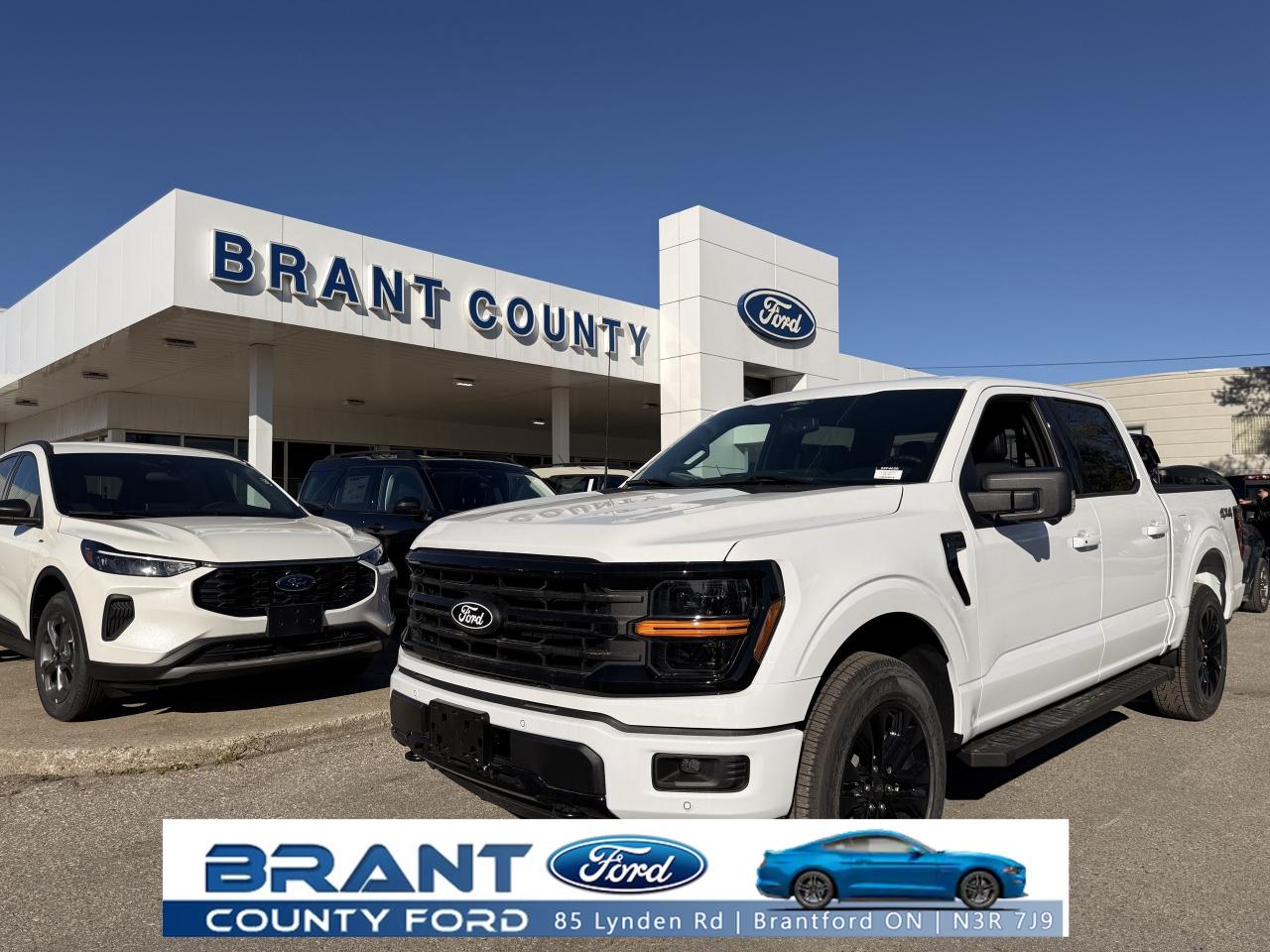 New 2025 Ford F-150 XLT for sale in Brantford, ON