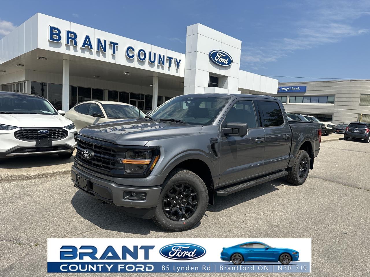 New 2025 Ford F-150 XLT for sale in Brantford, ON